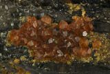 Smoky Quartz Crystal with Spessartine Garnets - China #128921-2